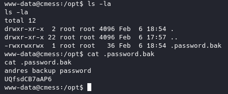 backup