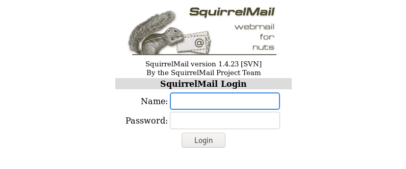 squirrel
